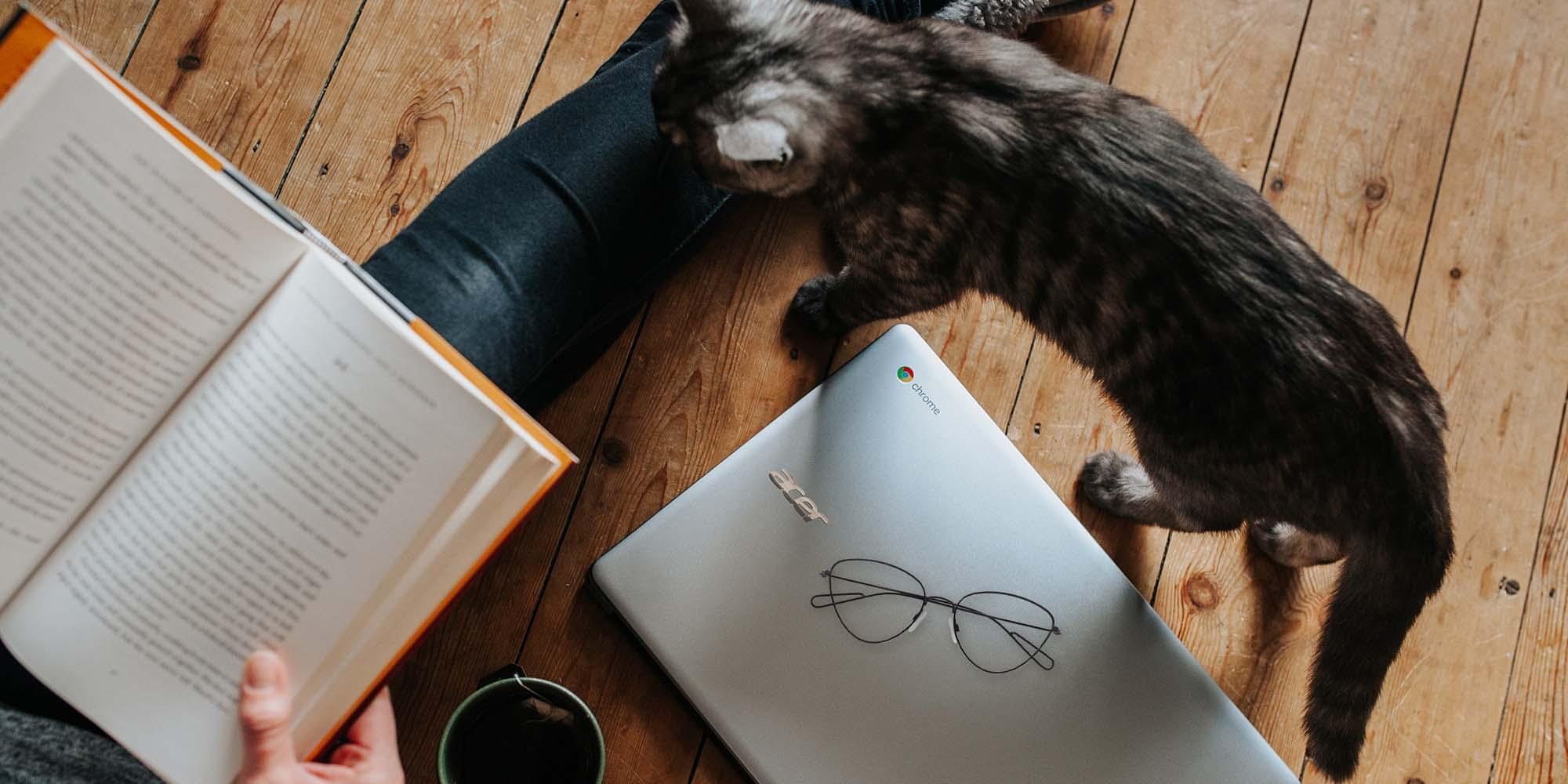 dramatic cat eye glasses