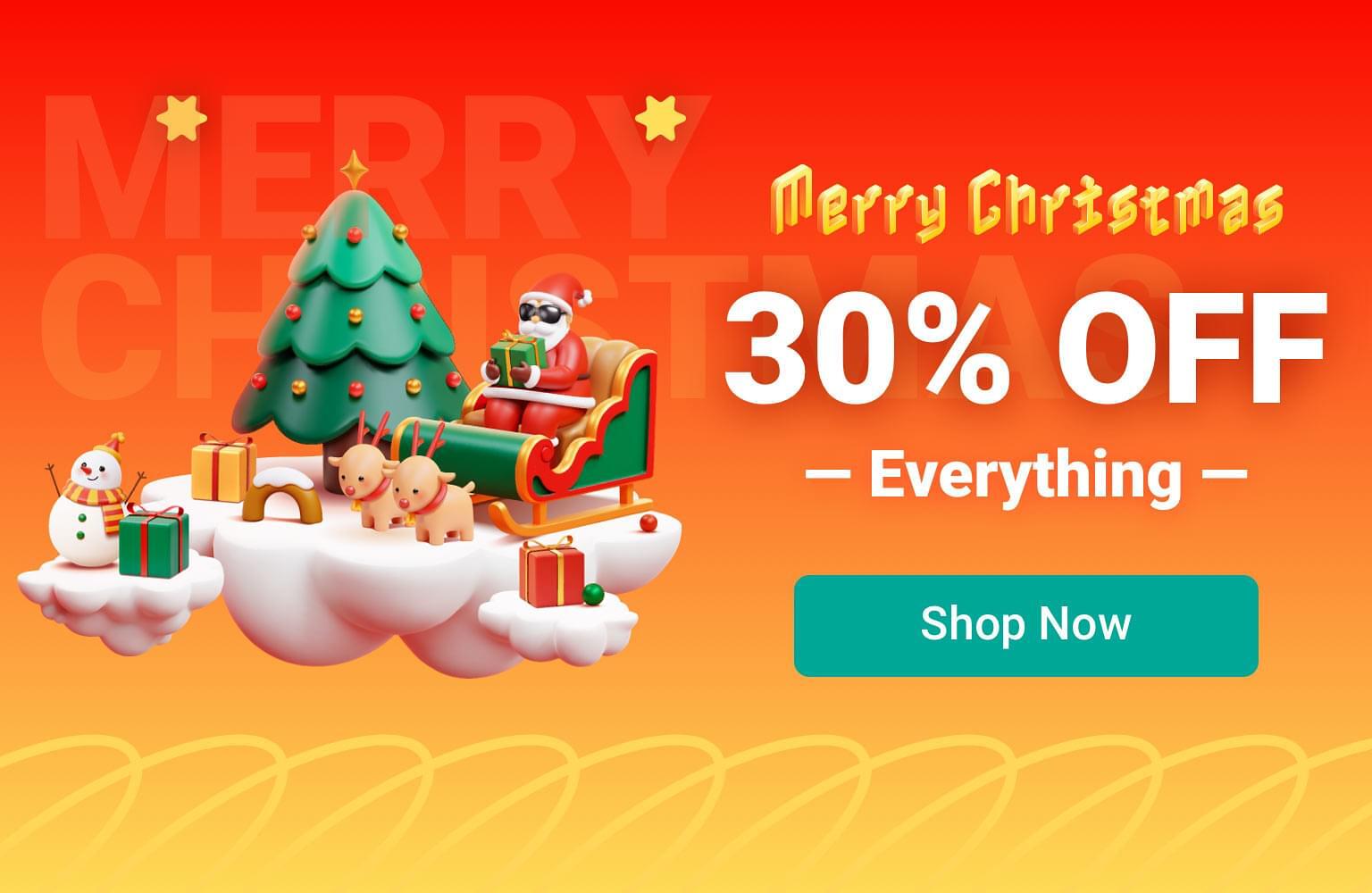 Christmas Sale: 30% Off Everything