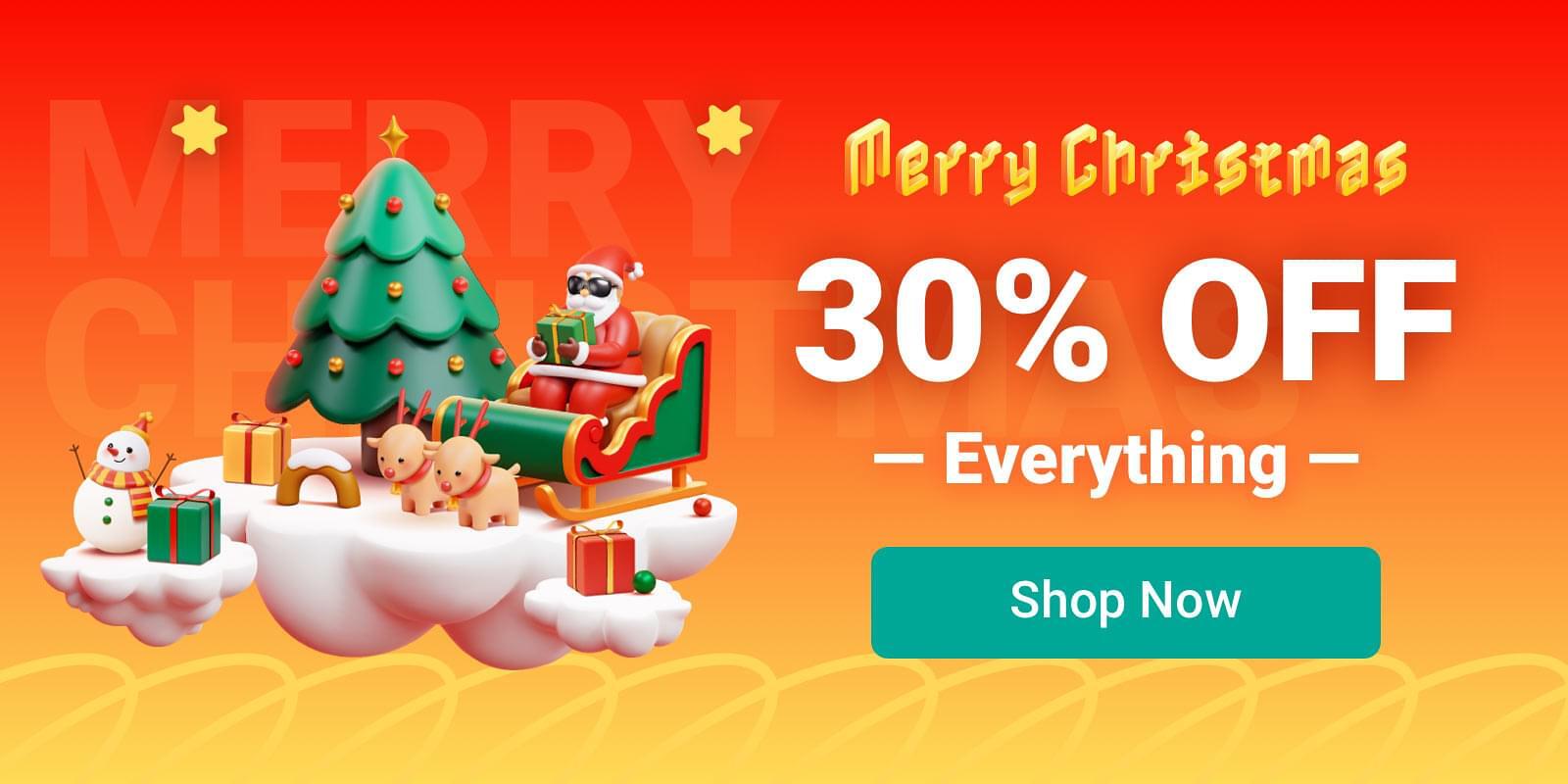 Christmas Sale: 30% Off Everything